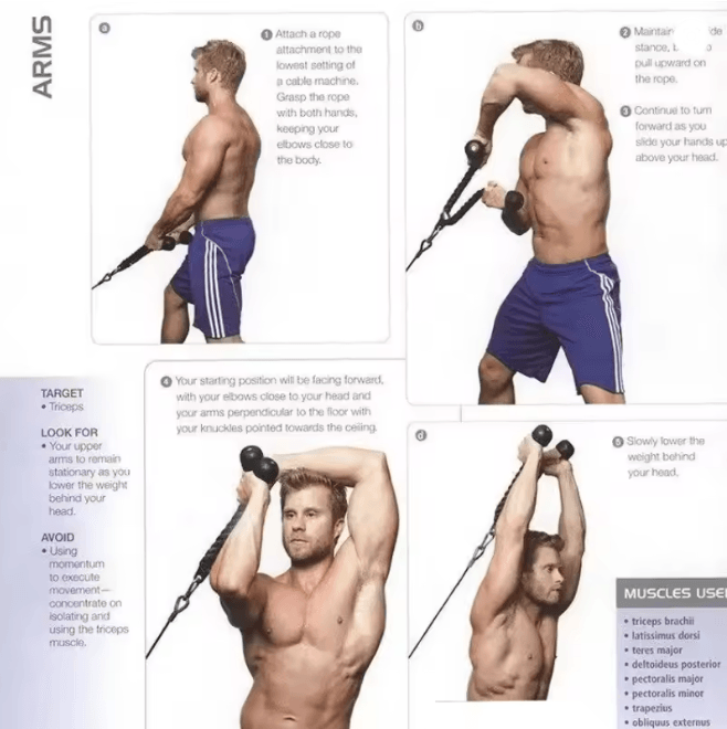 PowerFlex Training Rope Handle Set