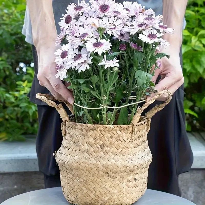 Large Hanging Plant Stand with Iron Hook