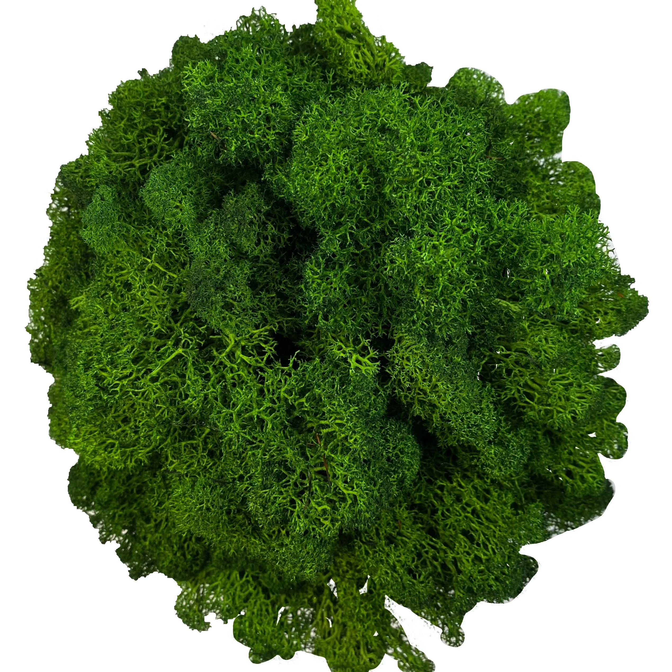 Artificial Reindeer Moss for Potted Plants | Natural Green Fake Moss for Floral Wall & DIY Crafts | Wedding Decor