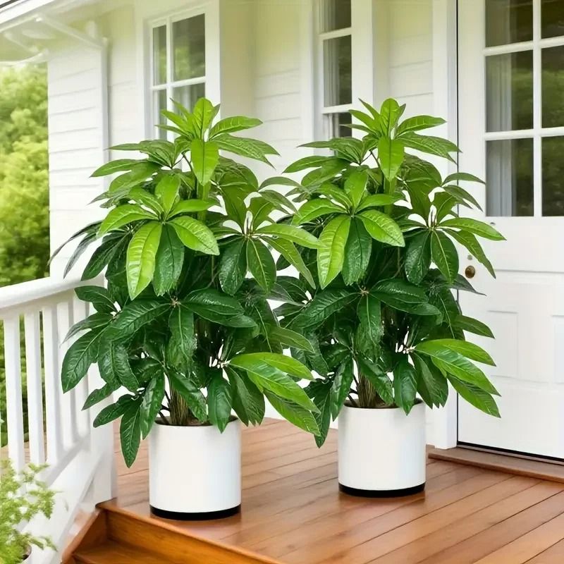 82cm Realistic Artificial Money Tree | Large Green Palm Plant for Outdoor Garden, Balcony & Home Decoration