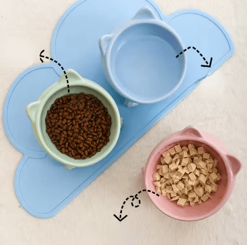 Elevated Tilted Ceramic Cat Bowl – Cute Ergonomic Food & Water Dish