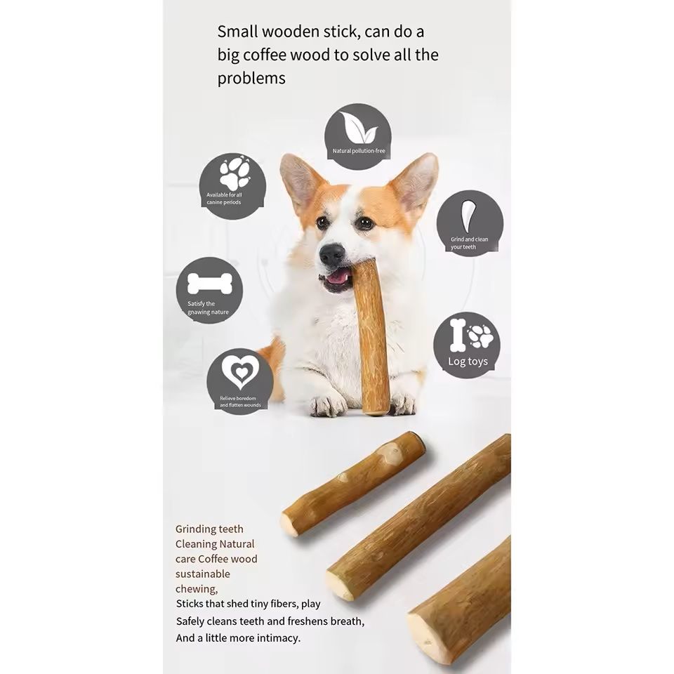 Wooden Dog Chew Stick Toy for Dental Relief and Play