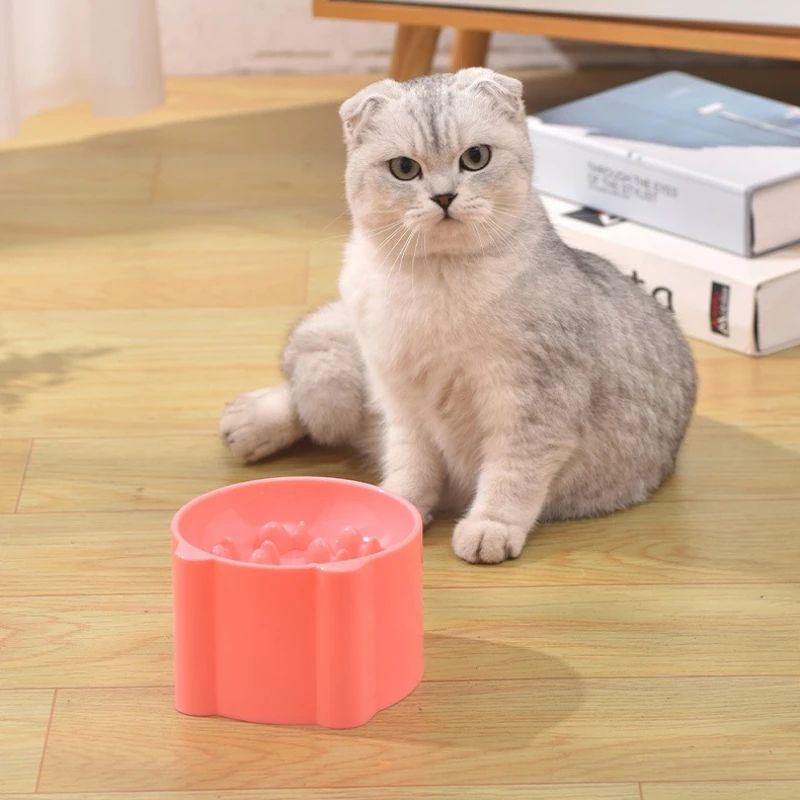 Anti-Choking Slow Feeder Bowl for Cats & Small Dogs – Neck-Protective Puzzle Feeding Dish for Healthy Eating