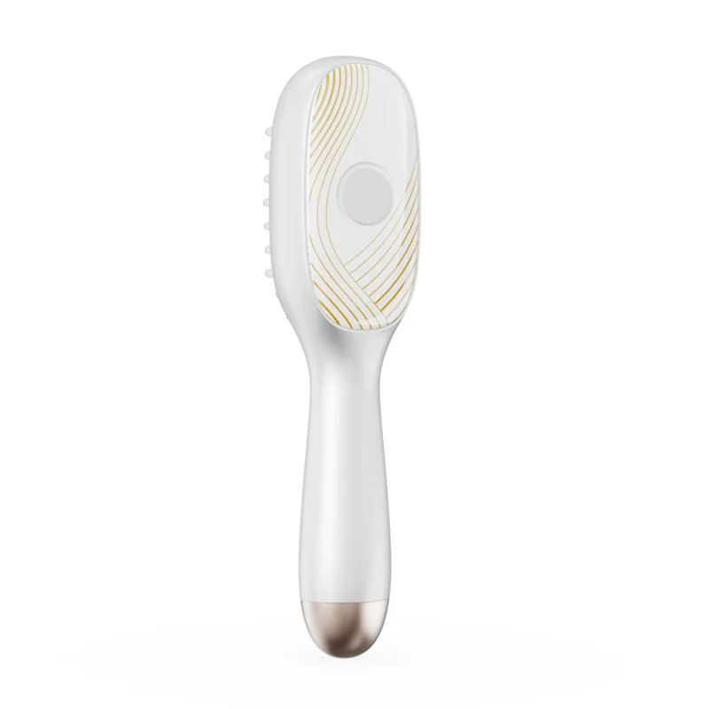 Hair Growth Scalp Massager, EMS Red Light Therapy Brush, Anti Hair Loss Essential Oil Meridian Comb, USB Hair Treatment