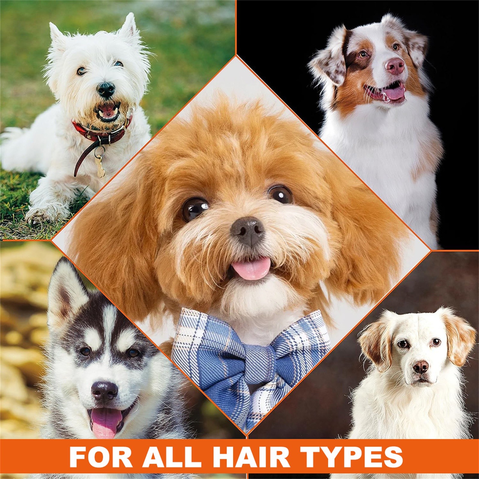 Dog Shampoo 4 In 1 Lavender Chamomile Pet Wash, Cleanses, Conditions, Smoothes, Moisturizes, Gentle Pet Care 300ml