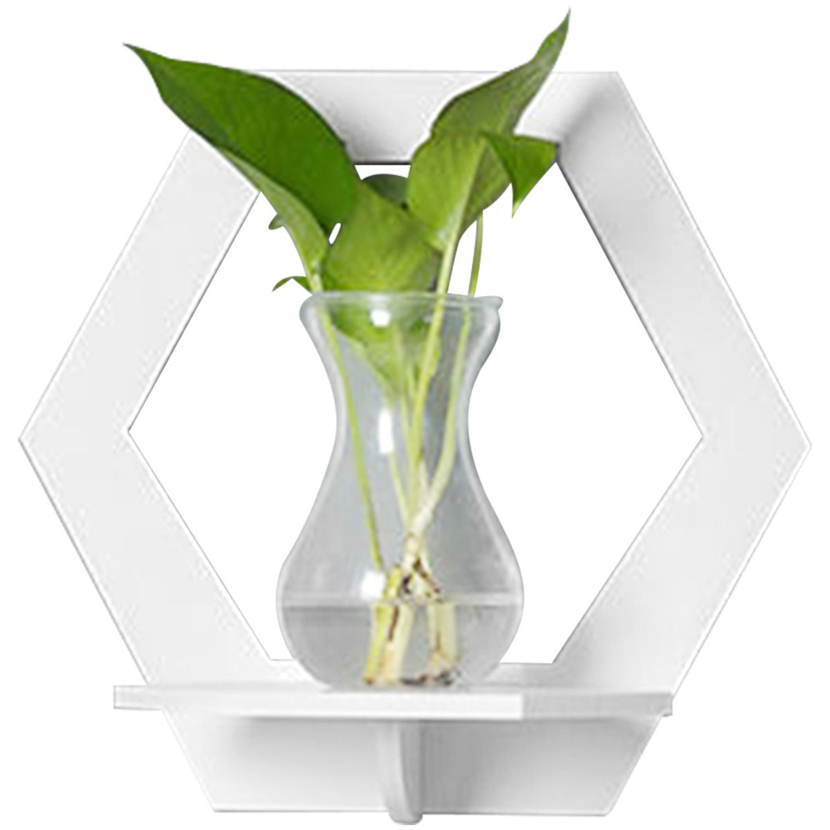 Hexagon Wall Shelf Display Set