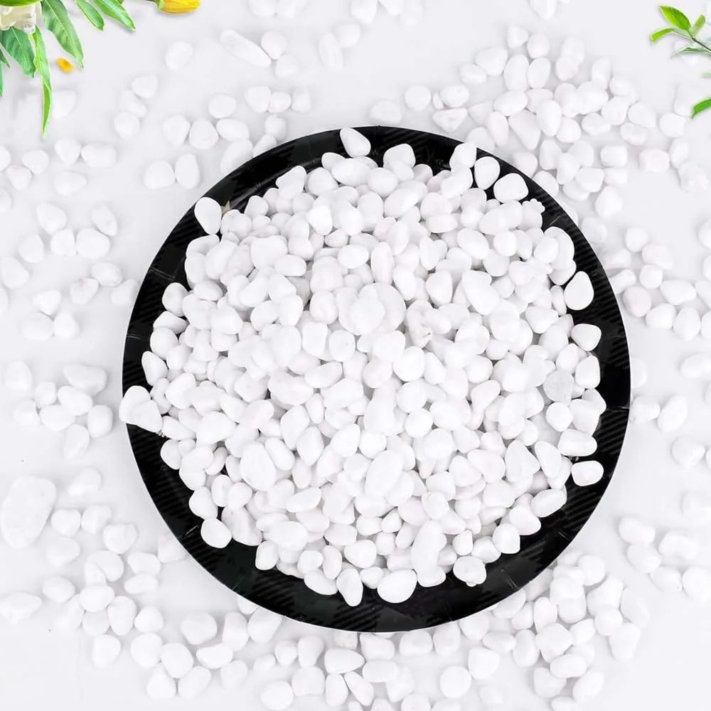 Premium Natural Cobblestone Decorative Pebbles for Succulents, Aquariums & Garden Decor