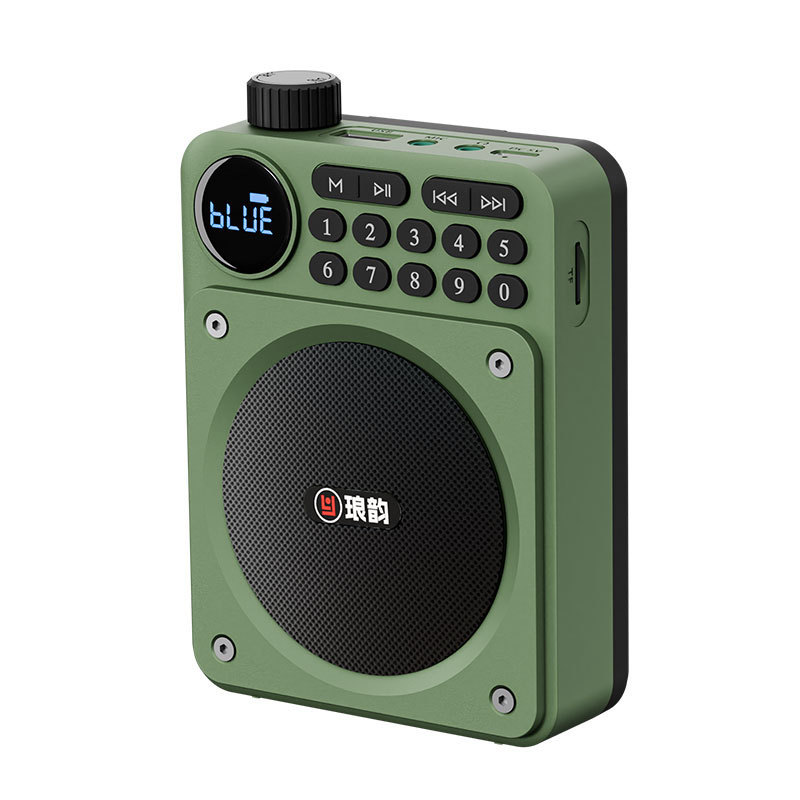 Portable Bluetooth FM Radio Speaker with HD Display USB TF Voice Amplifier