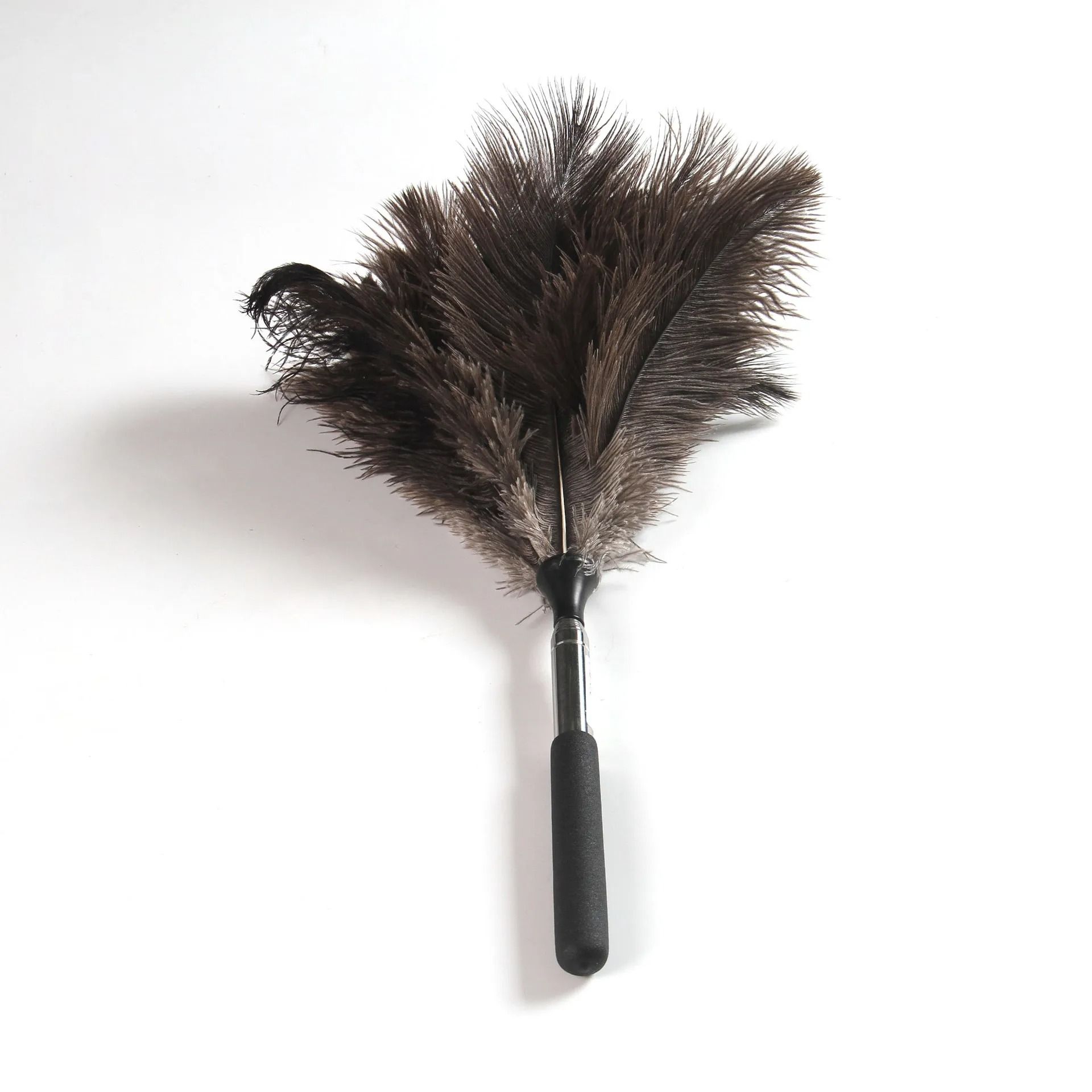 Extendable Ostrich Feather Dust Duster with Long Handle
