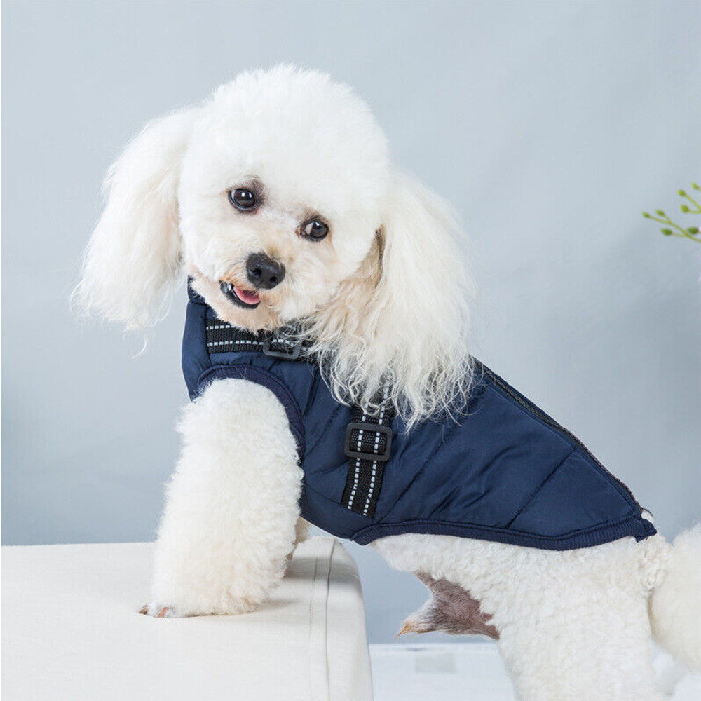 Dog Winter Coat With Built In Harness