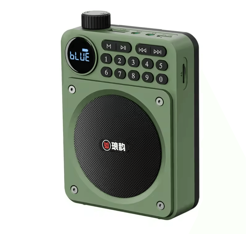Mini Digital FM Radio Speaker with Bluetooth 5.3 USB TF Card Slot and Voice Amplifier