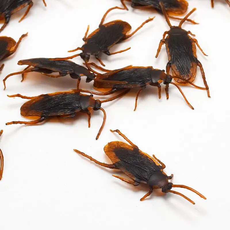 Realistic Fake Roaches: Novelty Cockroach Trick Prop for Scary, Funny Halloween Party Decorations - Plastic Bugs