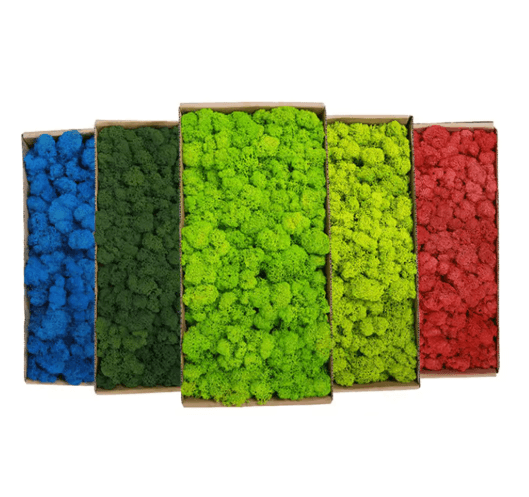 Artificial Moss Grass Decor 200g Mini Landscape Greenery for DIY & Home Styling