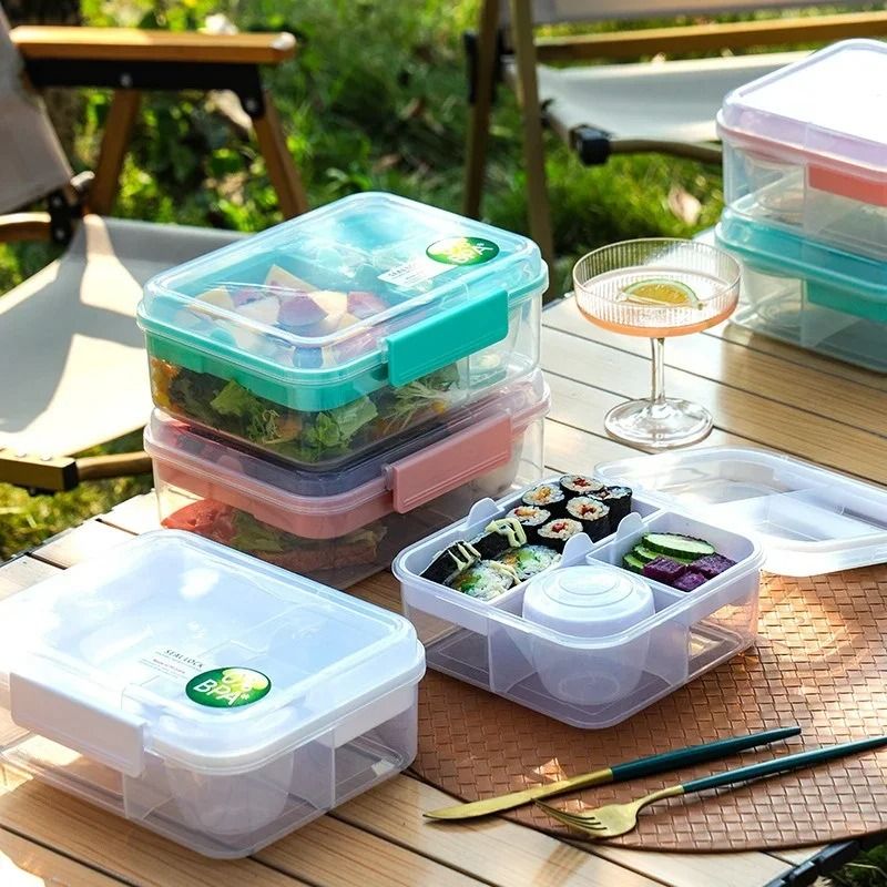 Double Layer Bento Lunch Box With Carry Handle