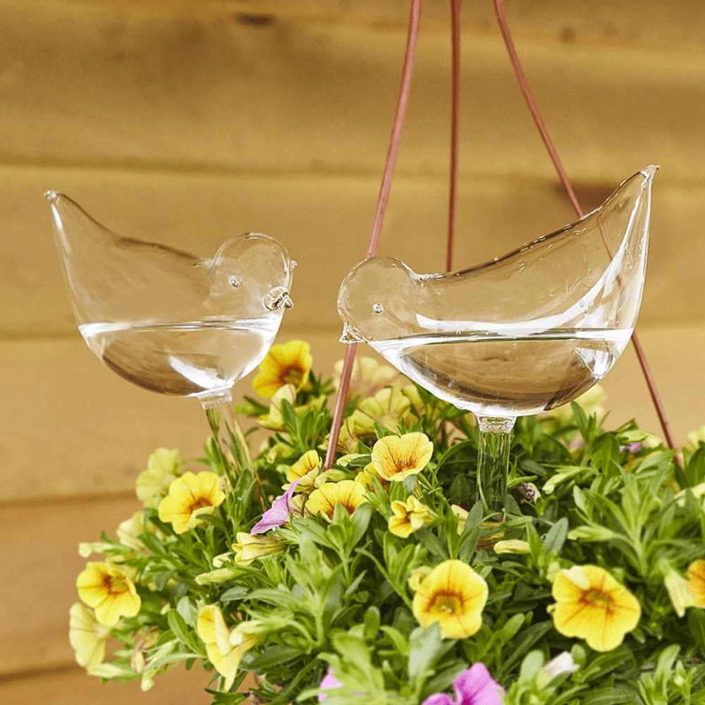 Self-Watering Plant Glass Bulbs