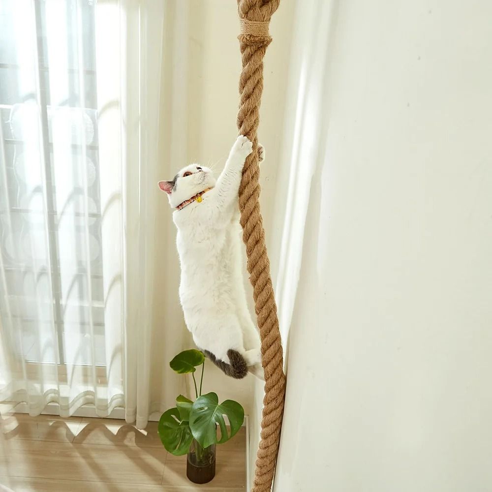 Professional Heavy Duty Ceiling and Wall Mounted Cat Climbing Rope