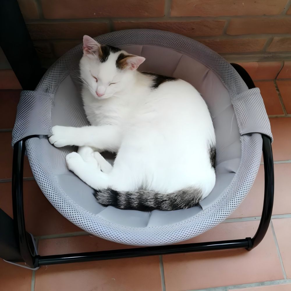 ComfortLift Cat Hammock Bed Washable Elevated Pet Hammock for Small and Medium Cats