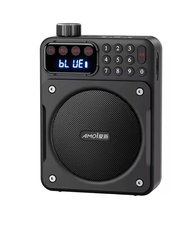 Mini Digital FM Radio Bluetooth Speaker with USB TF Card Display