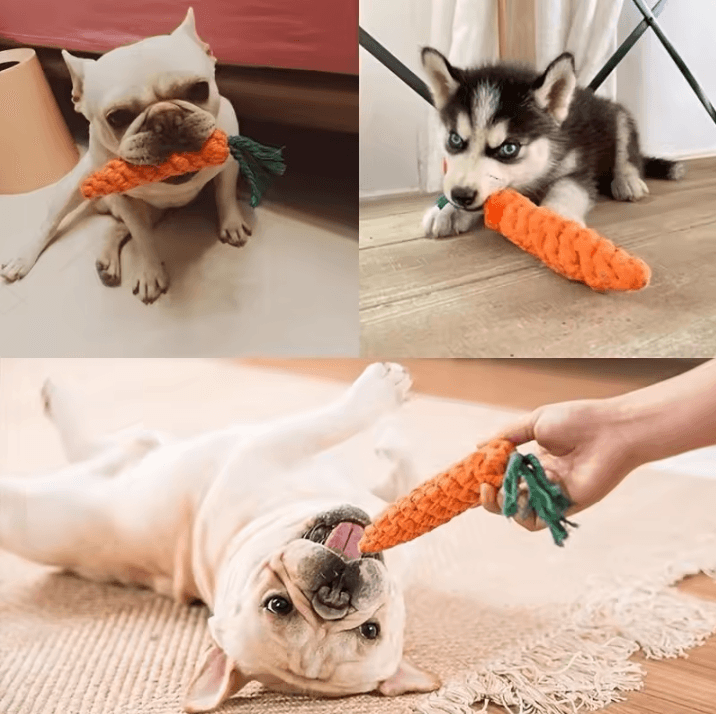 Carrot-Shaped Pet Knot Toy – Cotton Rope Chew Toy for Dogs and Cats