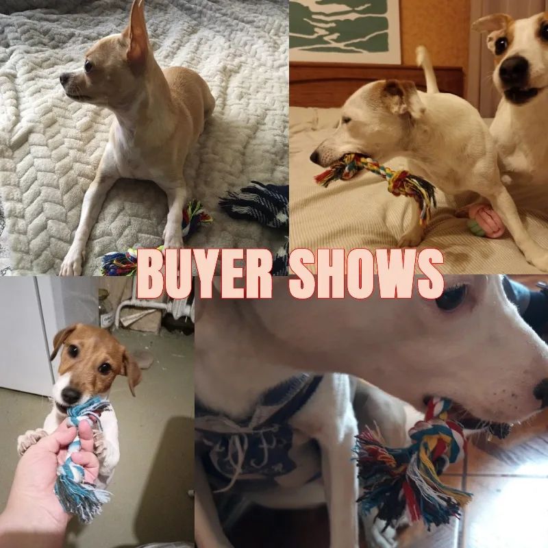 Braided Knot Rope Chew Dog Toy
