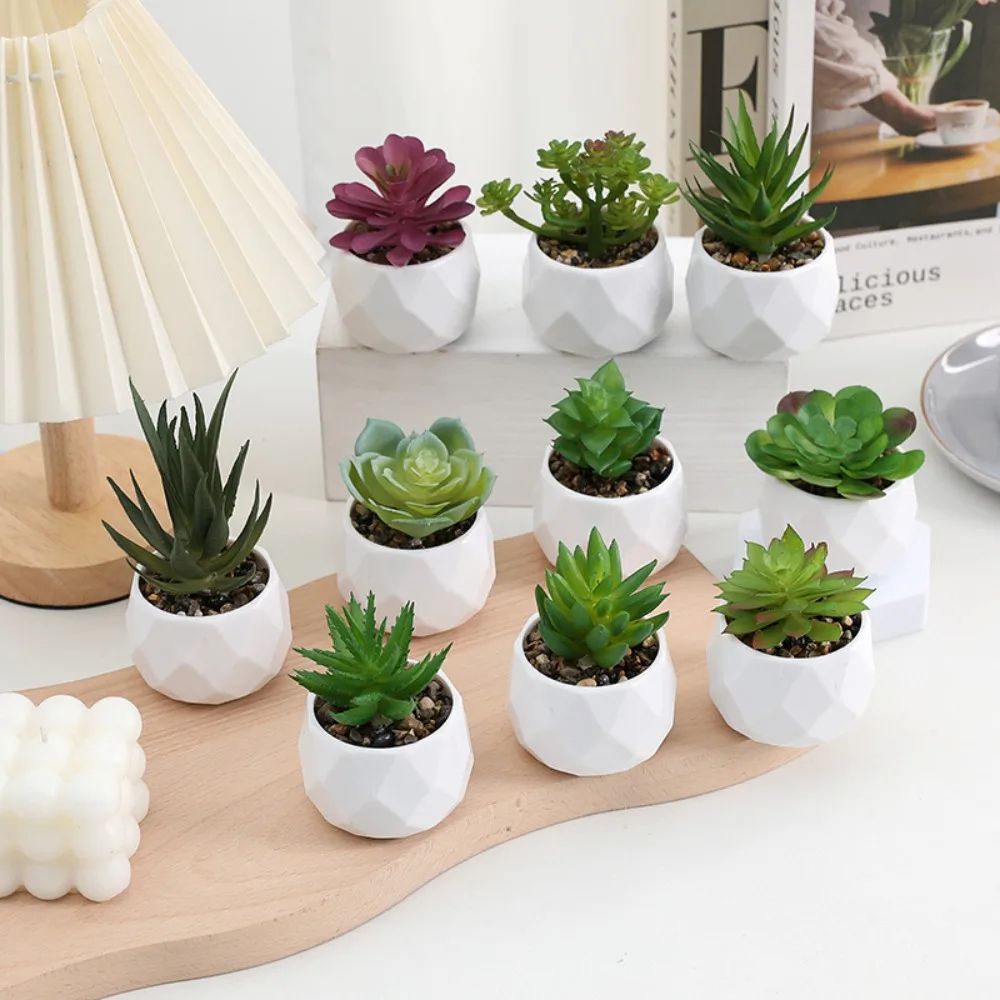 Evergreen Mini Artificial Succulent Bonsai – Realistic Fake Cactus Plant for Desk & Home Decor