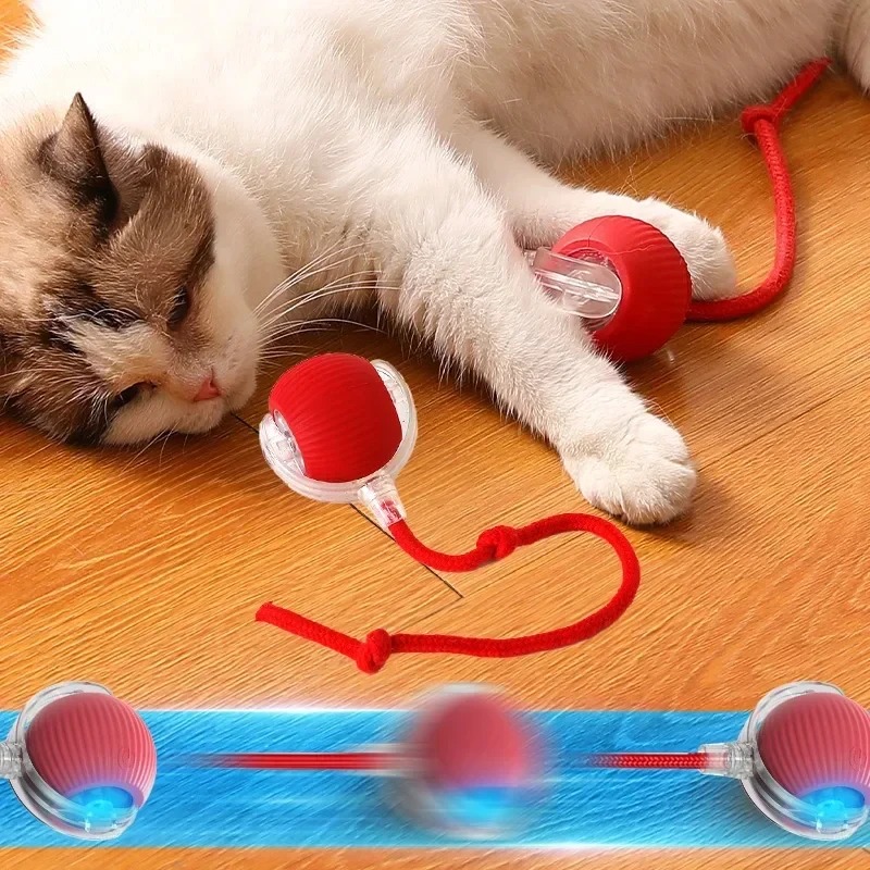 Smart Interactive Auto Rolling Cat Toy – USB Rechargeable Electric Ball for Kitty Play