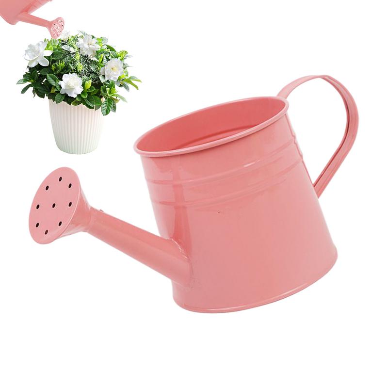 Modern indoor plant watering can with Long Spout Metal Design