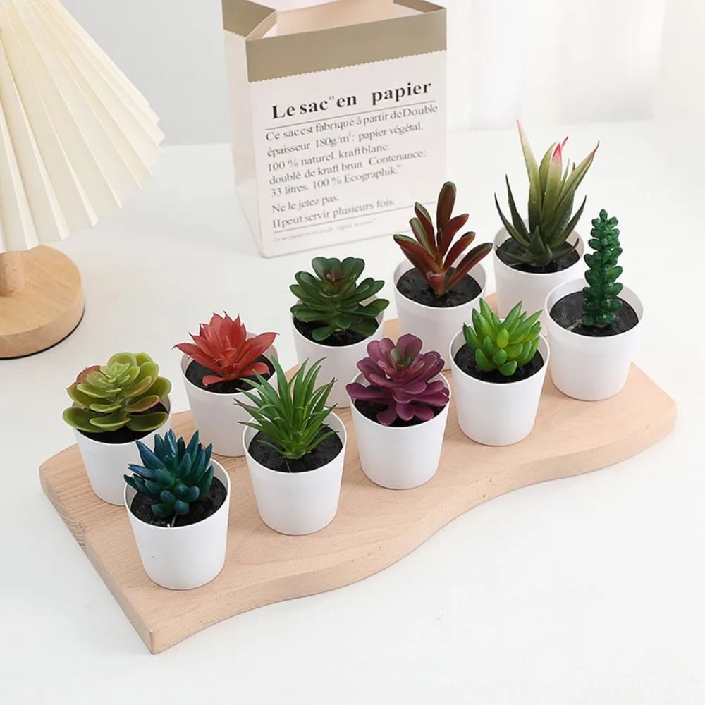 Artificial Succulent Mini Bonsai – High-Performance Simulation Evergreen Cactus & Fake Plastic Decor Plant