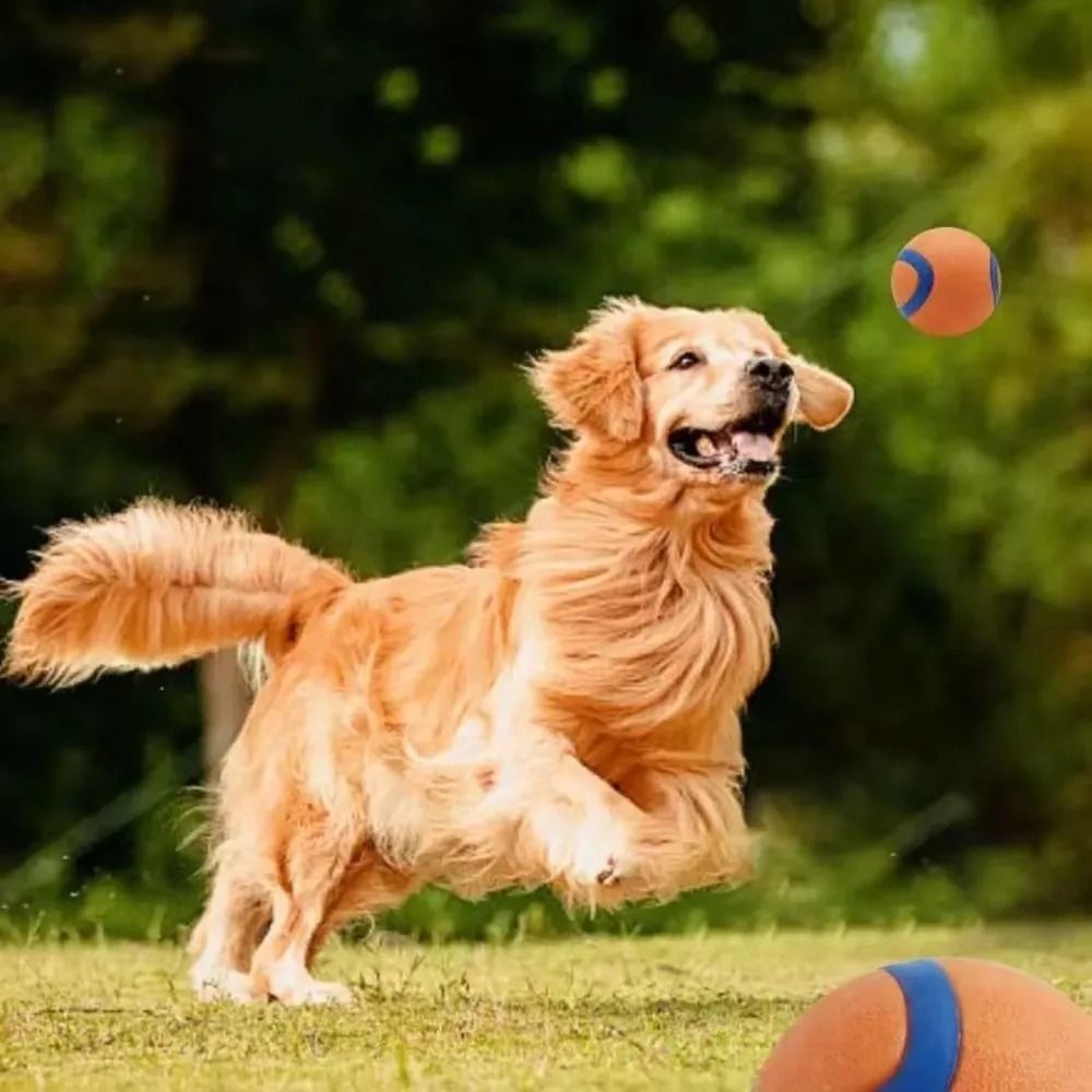 Dog Fetch Ball Tough Chew Toy Solid Elastic Jumping Ball for Dogs