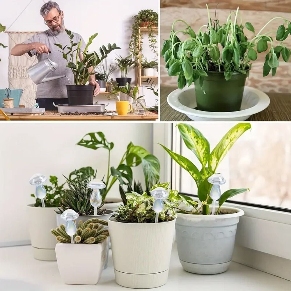 Mushroom Shape Glass Plant Watering Globes Self Watering Drip Irrigation System Rainbow Design