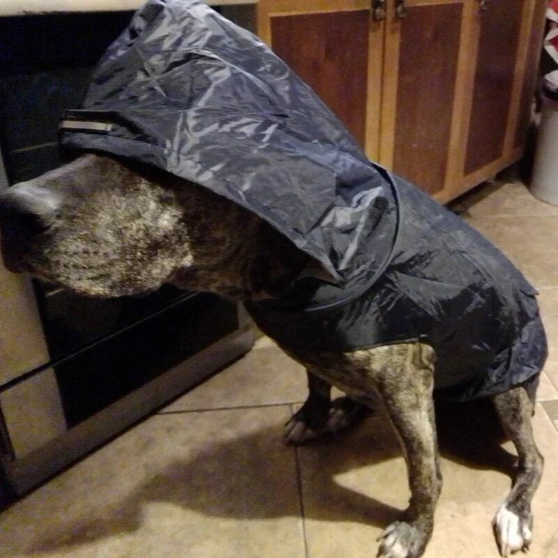Durable Dog Raincoat with Hoodie & Reflective Stripe - Waterproof Pet JackeT