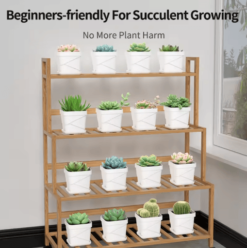 Square Ventilated Plastic Flower Pot Succulent Planter with Thick Drainage Tray