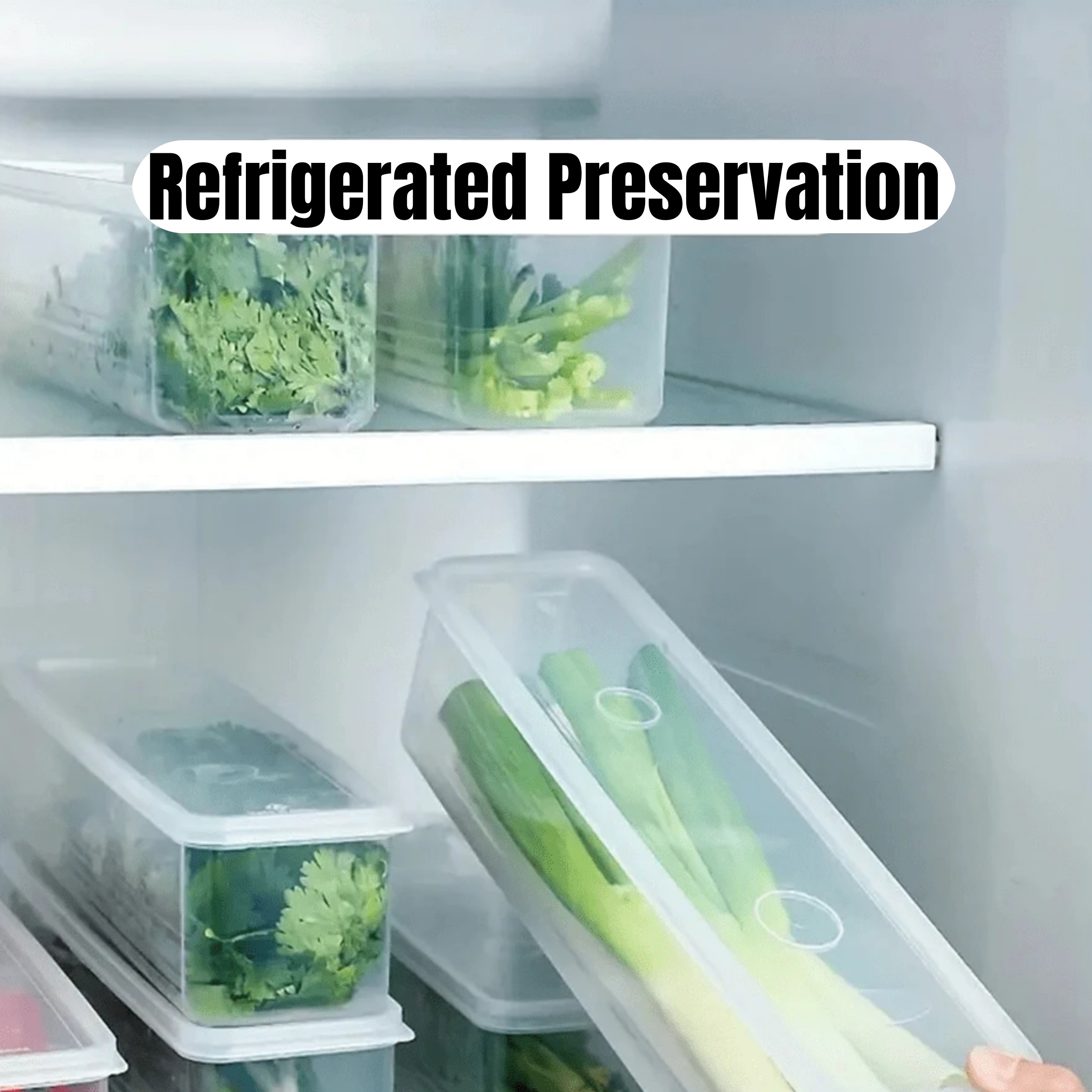Plastic Refrigerator Storage Boxes With Lid, Sealed Kitchen Fresh Keeping Box for Scallions, Cilantro, Eggs, Noodles