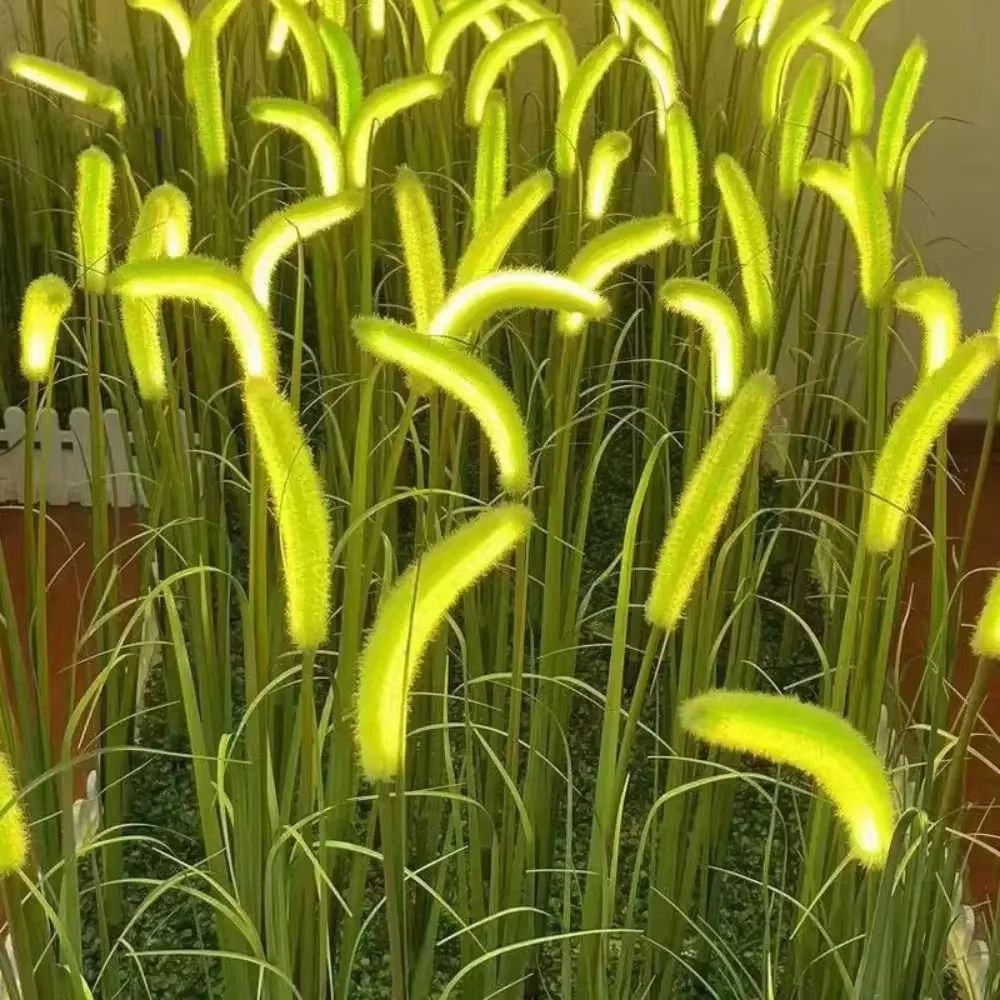 Solar Dog Tail Grass Garden Lights Waterproof LED Pathway Decor for Yard and Lawn