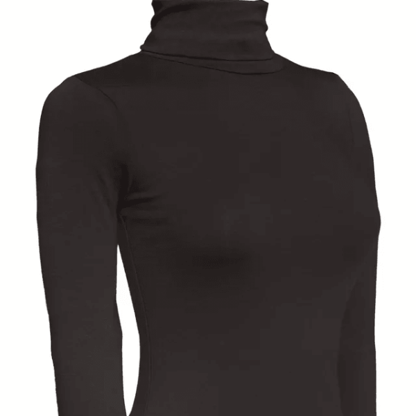 Classic Women Turtleneck Long Sleeve Shirt, Stretchy Basic Layering Top