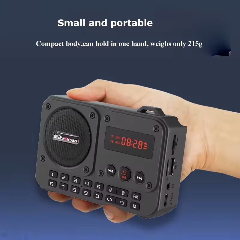 Mini FM Radio with Bluetooth Speaker and LED Display