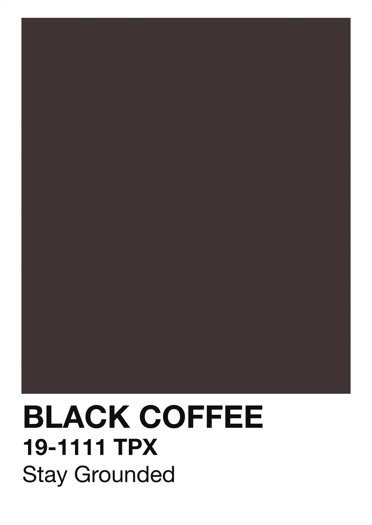 Caffeinated Narrative Canvas – High-Definition Skeleton Line Art Architectural Art