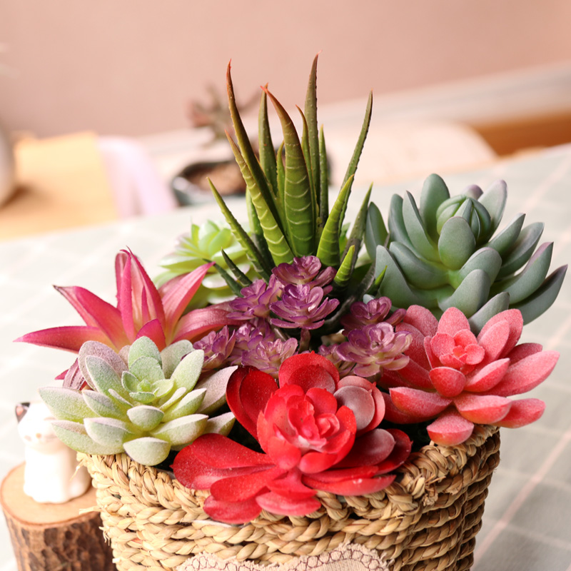 Plants, Mini Artificial Succulent Plants for Home Garden, Green Plastic Plants Ornament Decoration