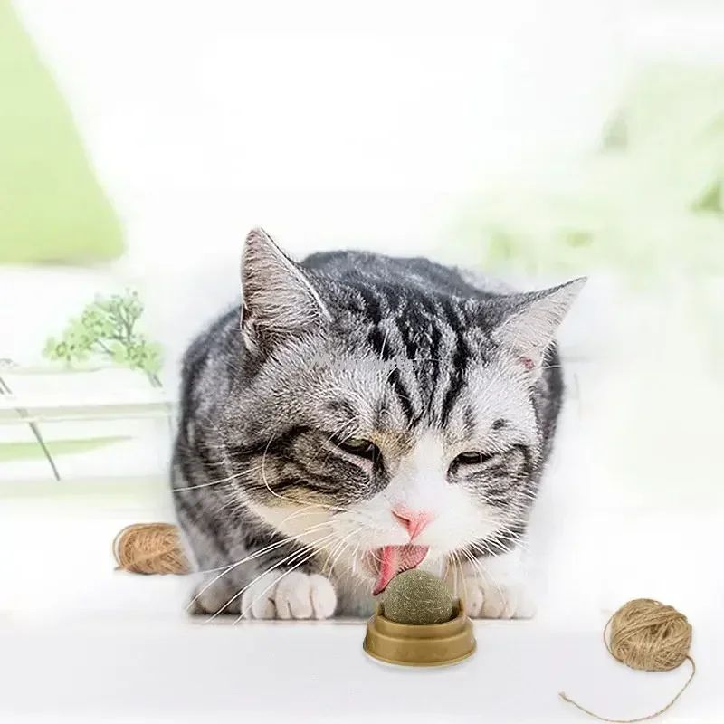 Stick-On Catnip & Cat Grass Wall Ball Toy – Natural Lickable Treat Roller for Digestion & Boredom Relief