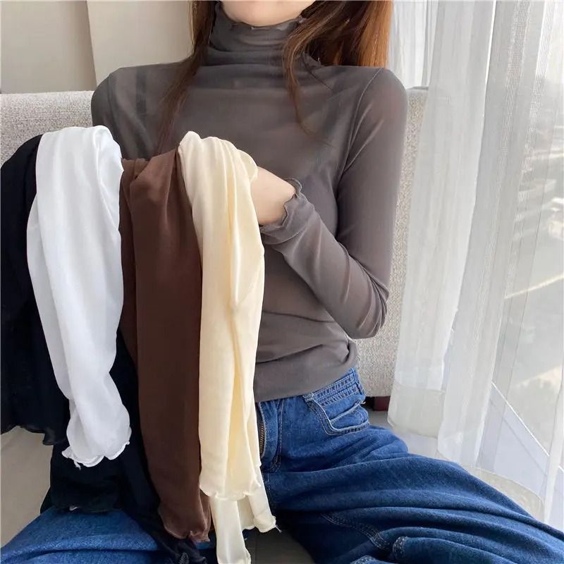 Sheer Transparent Mesh Long-Sleeve Crop Turtleneck Top