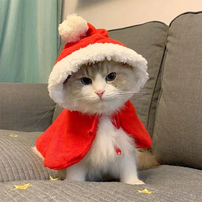 Cozy Santa Cape and Hat Costume for Pets with Warm Scarf