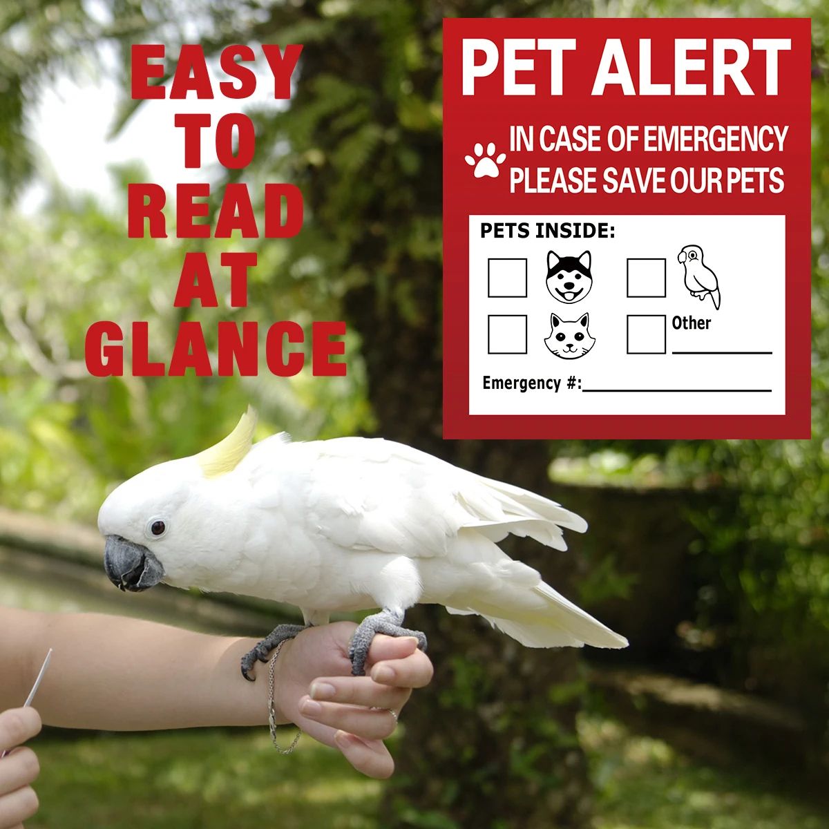 Pet Alert Emergency Window Sticker Save My Pets Safety Decal Static Cling Sign Set
