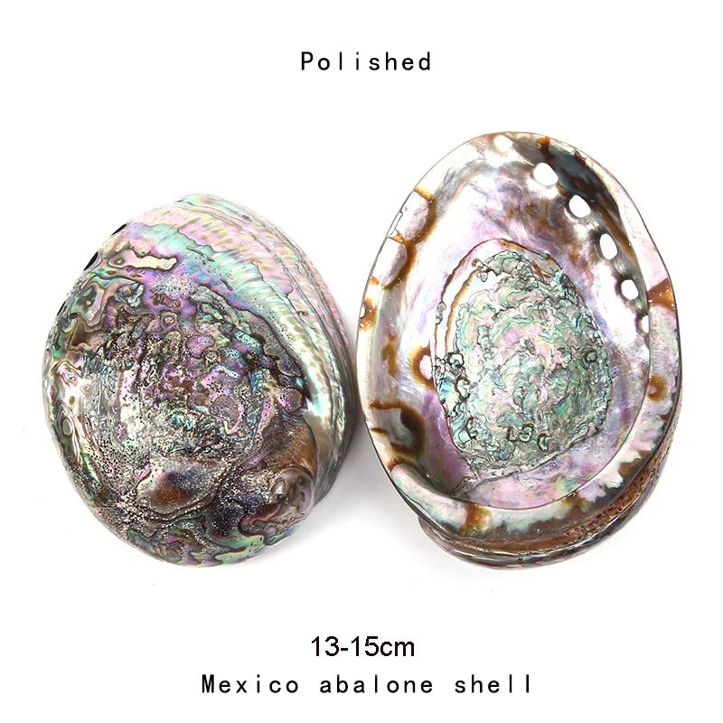 Natural Paua Abalone Shell Smudge Kit with Stand