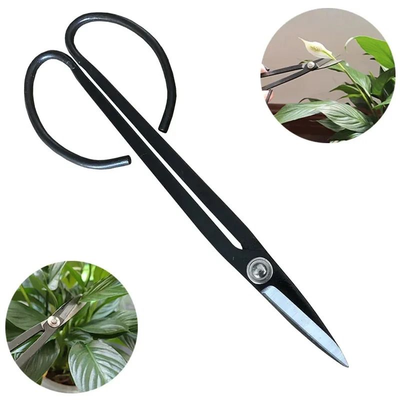 Steel Long-Handle Bonsai Scissors – Precision Pruning & Grafting Tool