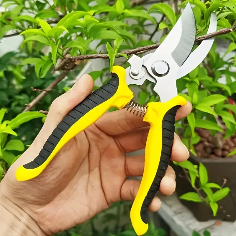 Multifunctional Fruit Scissors with Bird Beak Shape Stainless Steel Blade for Branch Pruning