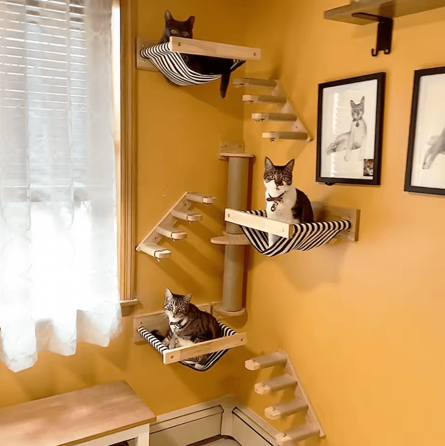 Wall Mounted Cat Climbing Shelves Wooden Cat Tree with Scratcher Rope Ladder and Sleeping Platform
