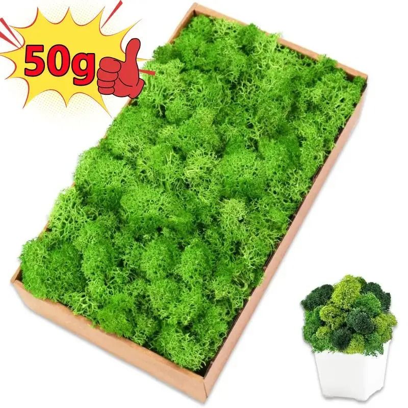 Eternal Life Artificial Moss Premium DIY Craft & Landscape Greenery