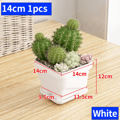 Square Ventilated Plastic Flower Pot Succulent Planter with Thick Drainage Tray