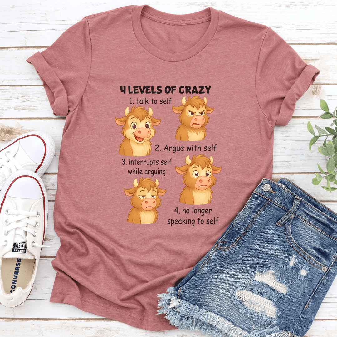 4 Levels Of Crazy 1 Talk To Self Tee