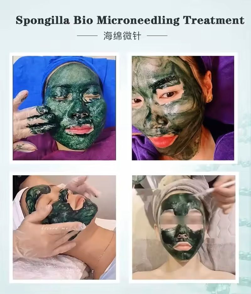 Sponge Microcrystal Freeze-Dried Powder Collagen Booster Skin Renewal Treatment